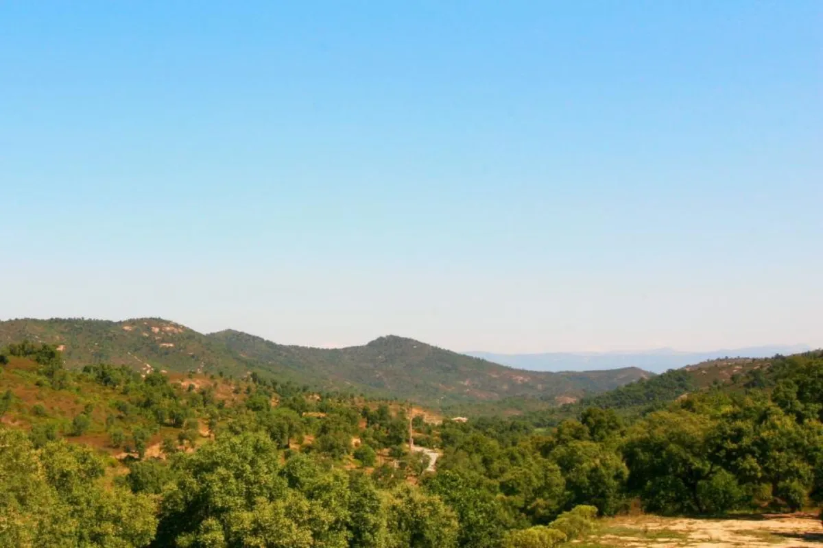 Mazet plan de la tour 14